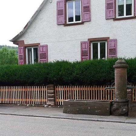 Un Gite Dans La Vallee Obersteinbach Buitenkant foto