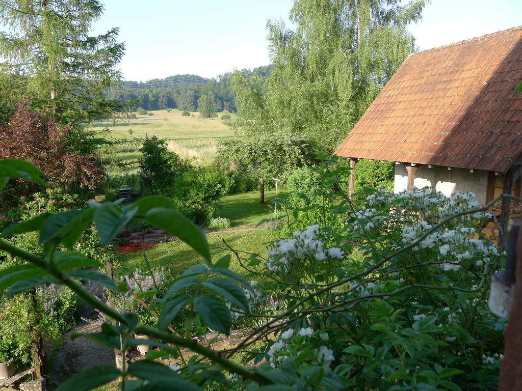 Un Gite Dans La Vallee Obersteinbach Kamer foto