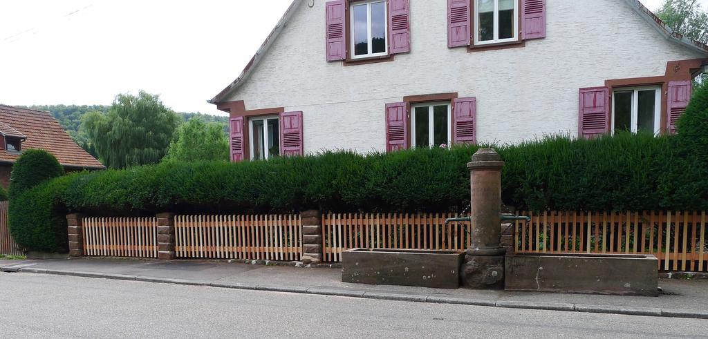 Un Gite Dans La Vallee Obersteinbach Buitenkant foto