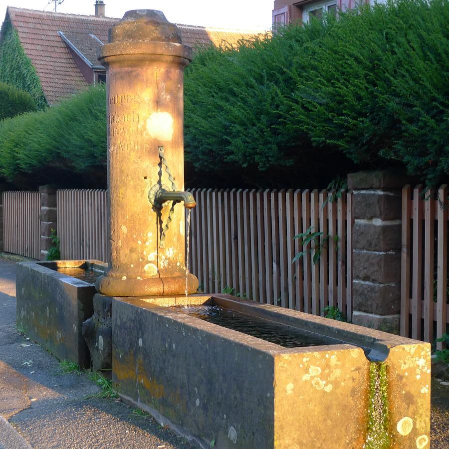 Un Gite Dans La Vallee Obersteinbach Buitenkant foto