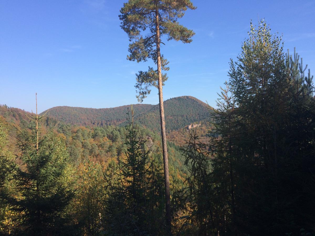 Un Gite Dans La Vallee Obersteinbach Buitenkant foto
