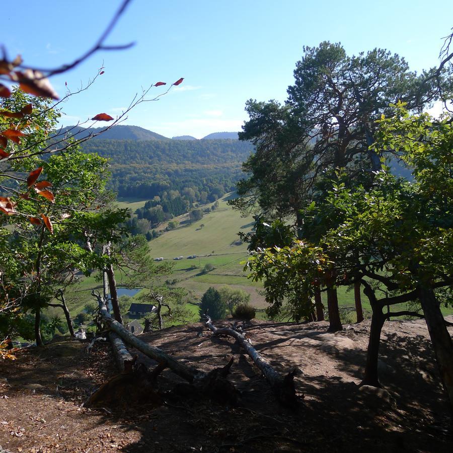 Un Gite Dans La Vallee Obersteinbach Buitenkant foto